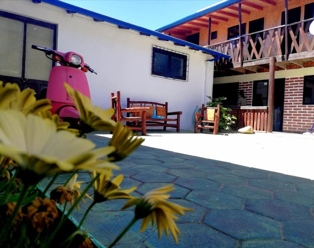 Hostal Traveland Pichilemu Εξωτερικό φωτογραφία